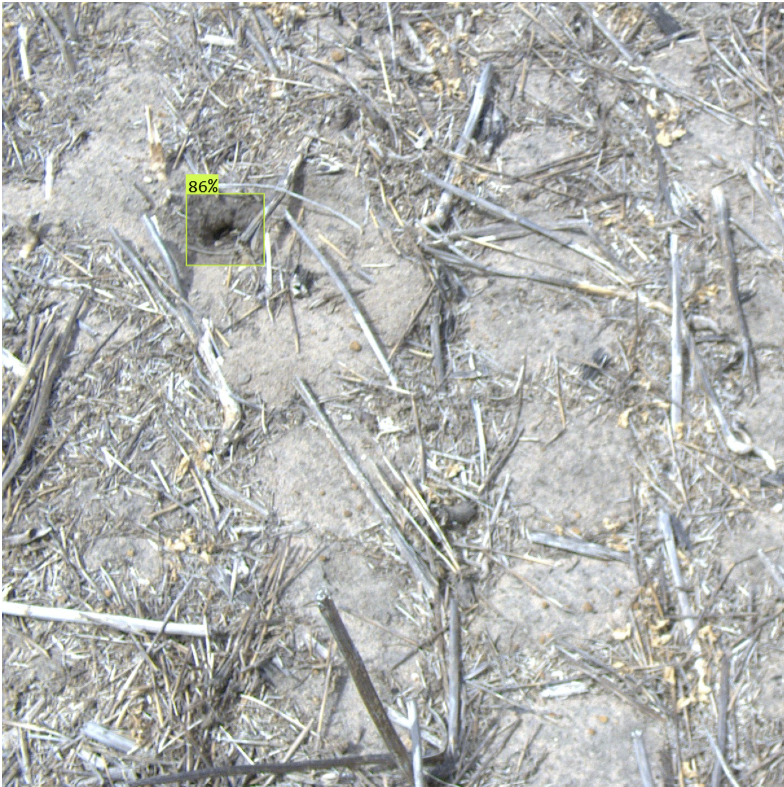 Rain Plaado tweet media