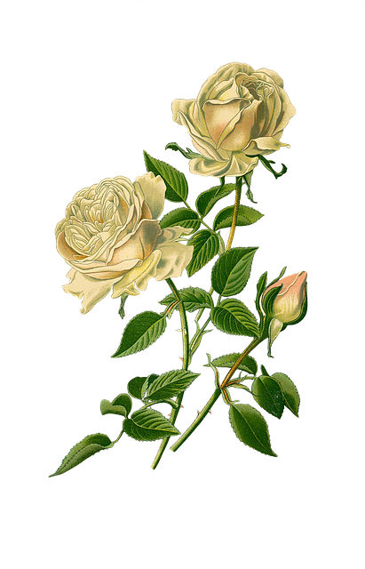 Bokep_jav_dvBnd's tweet image. 계획이 🛠️ 핵심이에요 xây dựng giúp hình thành cấu trúc البناء يحتاج أساس 🔩 قوي

#ForChange