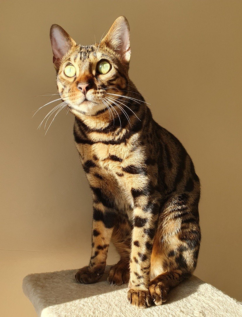 Mister_Low_Risk tweet media