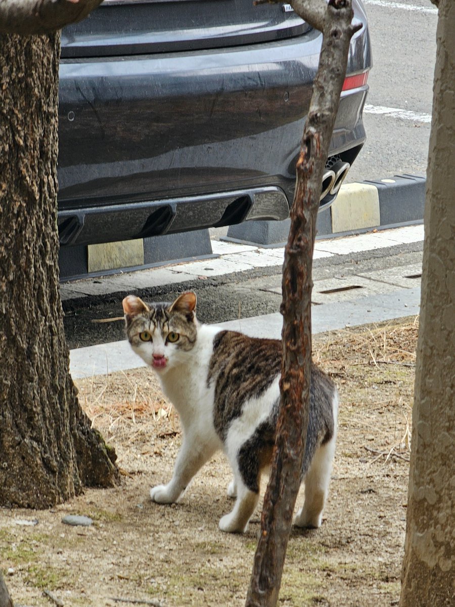 메롱하고 튀다니