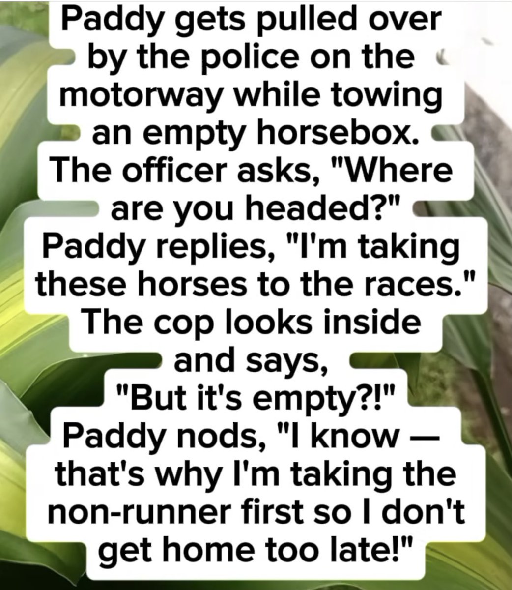 ‘Chelli tweet media