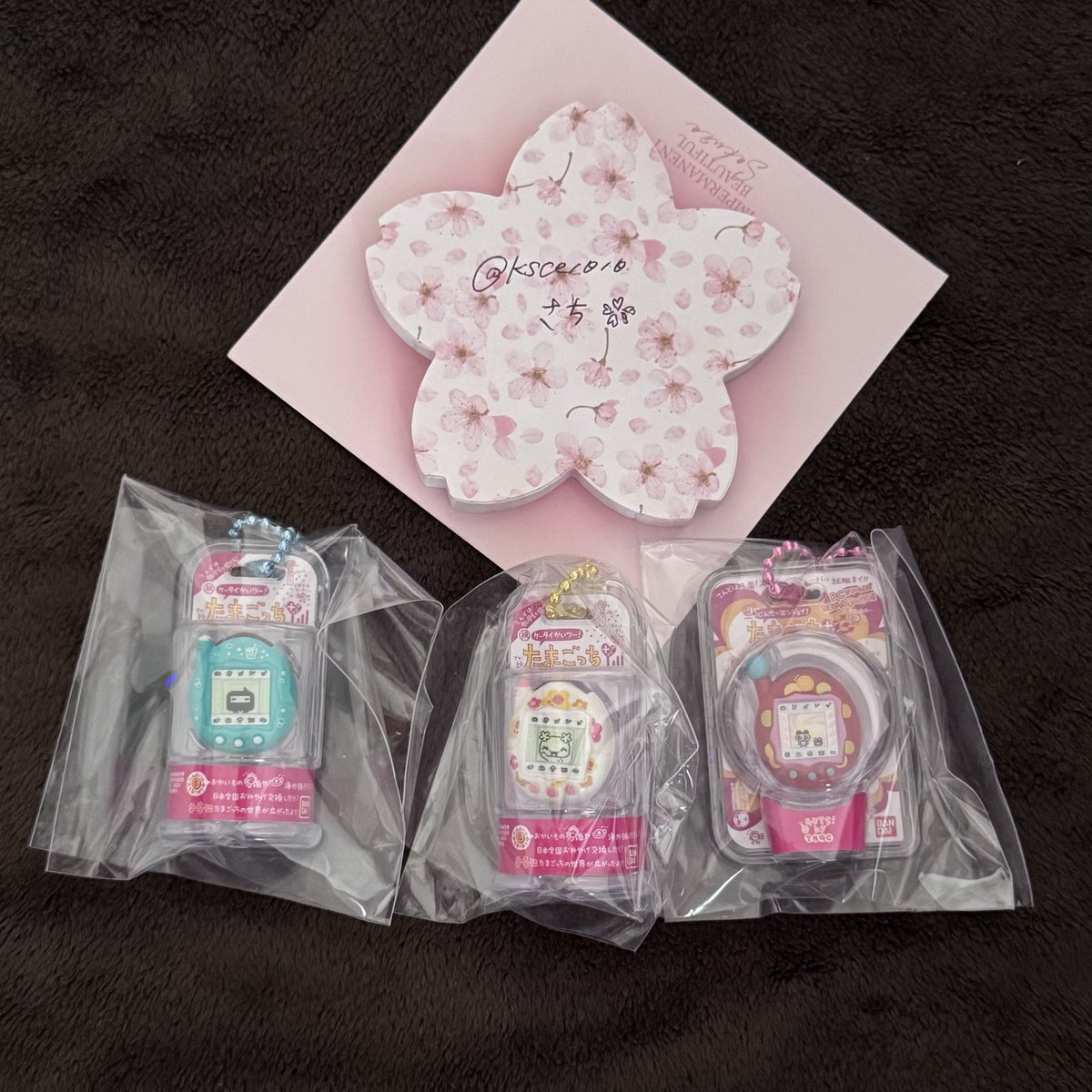 さち❀ tweet media