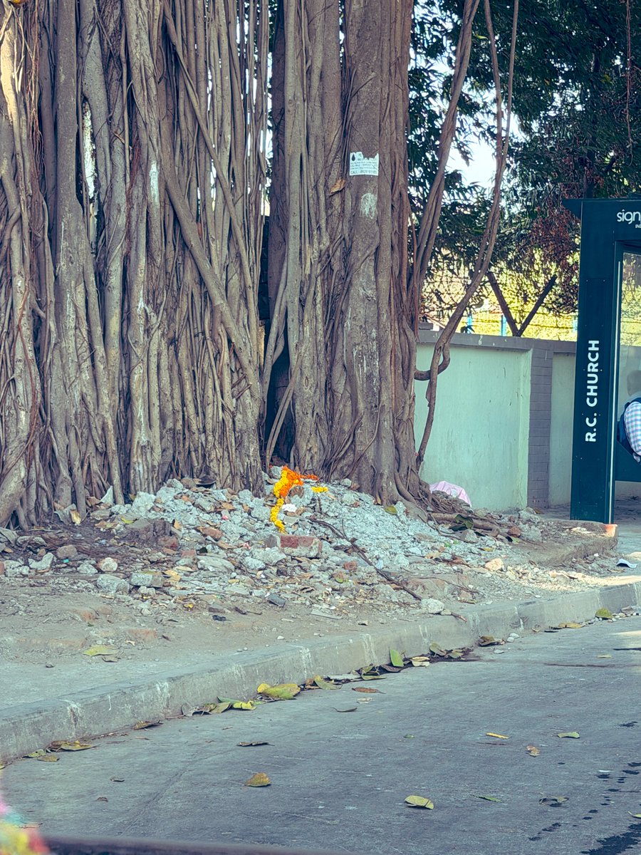 sunilbadsiwal's tweet photo. @mybmc @mybmcWardA On my recent visit to 165 yr old #AfghanChurch I witness this heart-wrenching scene of centuries old banayan tree in #NavyNagar area in #Colaba @rahulnarwekar @AGSawant 
Pls take cognizance Lets save further destruction
@MumbaiPolice 
@zoru75 
@VanashaktiIndia https://t.co/FAwM5YWJJR