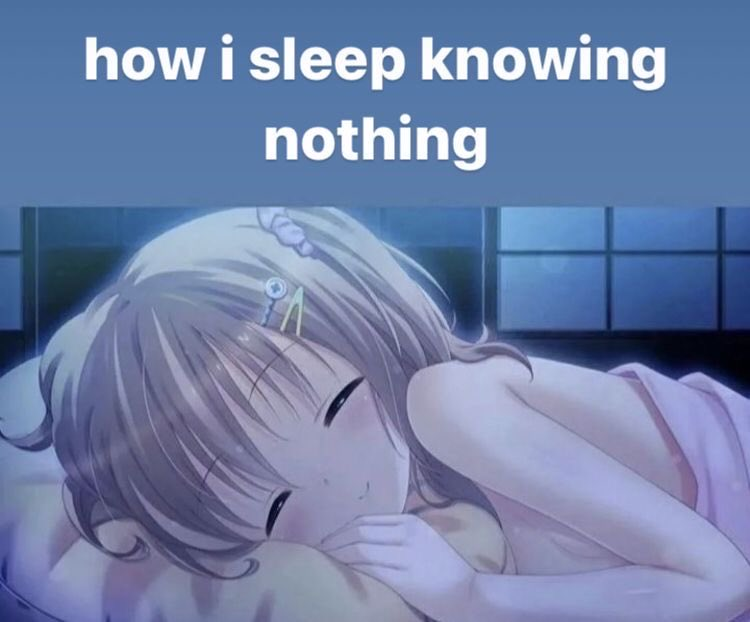 sophie 🍓🎉 tweet media