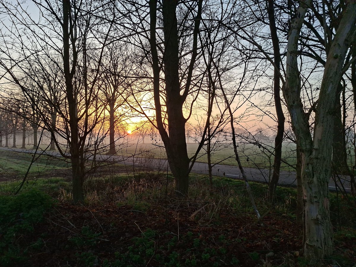 Goedemorgen!!