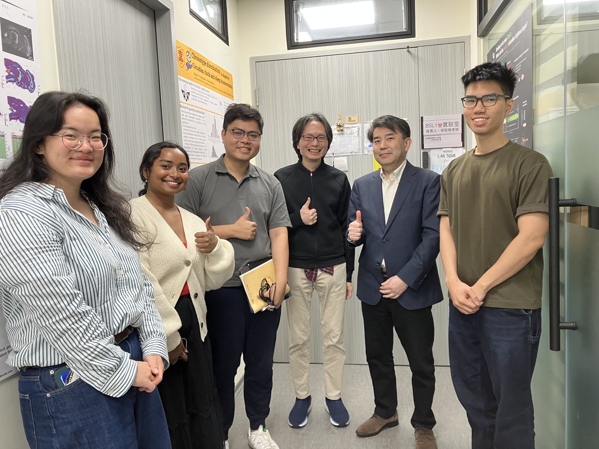 Braintime Lab tweet media