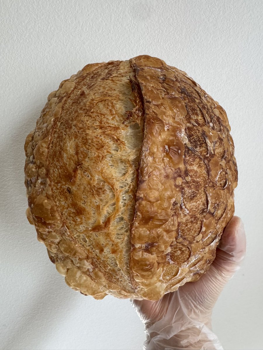 マイクロベーカリー初日だったんだけど、少しだけ用意した当日販売分も全部完売した！楽しんでもらえると良いな🍞