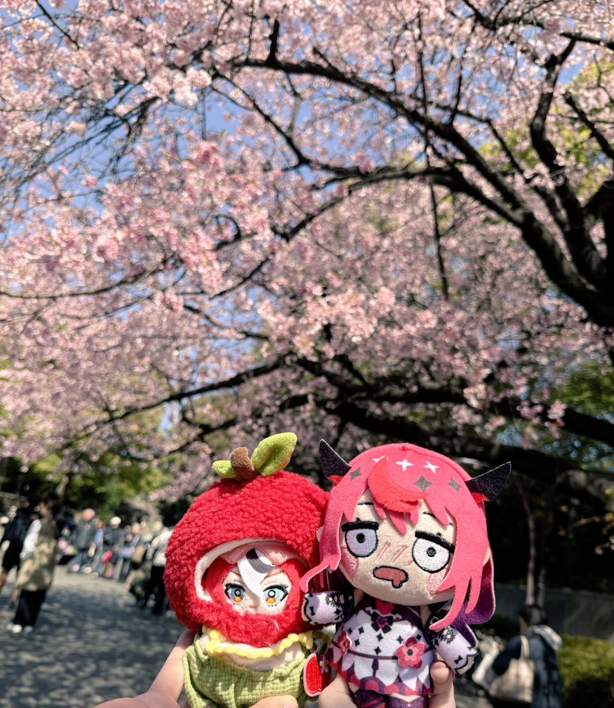 appleseed_art's tweet image. Today, we brought Baerys to モーモーパラダイスしゃぶしゃぶ, a shabushabu recommended by IRyS in her Ikebukuro video! The food is soooo goooood, especially in this cold weather, 10/10 would recommend👍

P.S. the sakuras at the front of Ueno Park are starting to bloom!

#IRyS