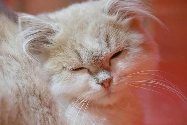 Hidden Side 🔞 tweet media