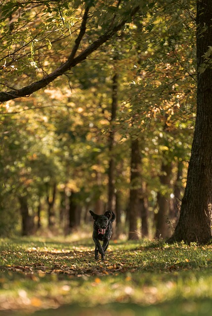 Natalie Burton tweet media