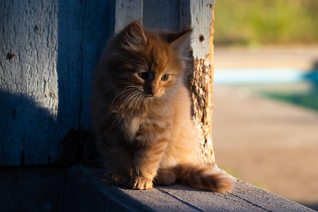 Christina Gray tweet media