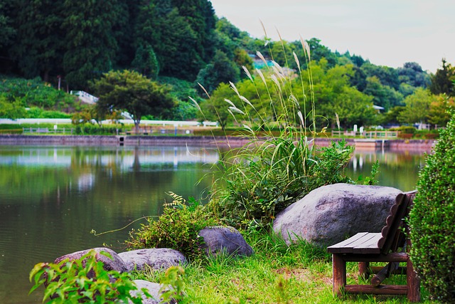 Louis Price tweet media