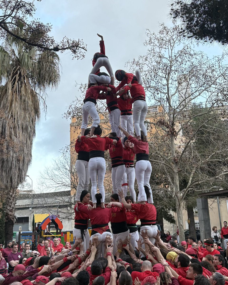 Revista Castells tweet media