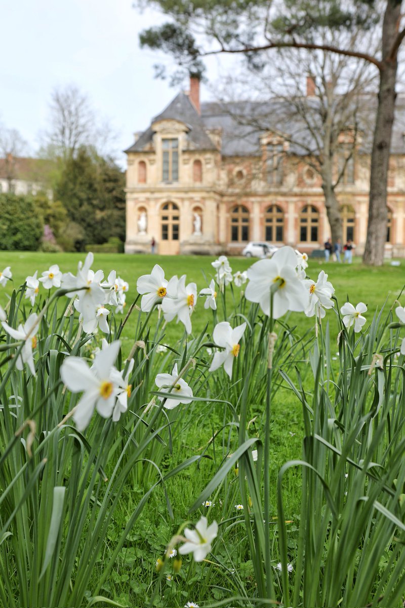 CFontainebleau's tweet image. 🔴 𝗟𝗲 𝗽𝗿𝗶𝗻𝘁𝗲𝗺𝗽𝘀 𝗮𝗽𝗽𝗿𝗼𝗰𝗵𝗲... 🌼
Le Château de #Fontainebleau vous souhaite une très belle semaine : du soleil, des fleurs et de jolies promenades dans les jardins ! 🌸 #MondayMotivation
