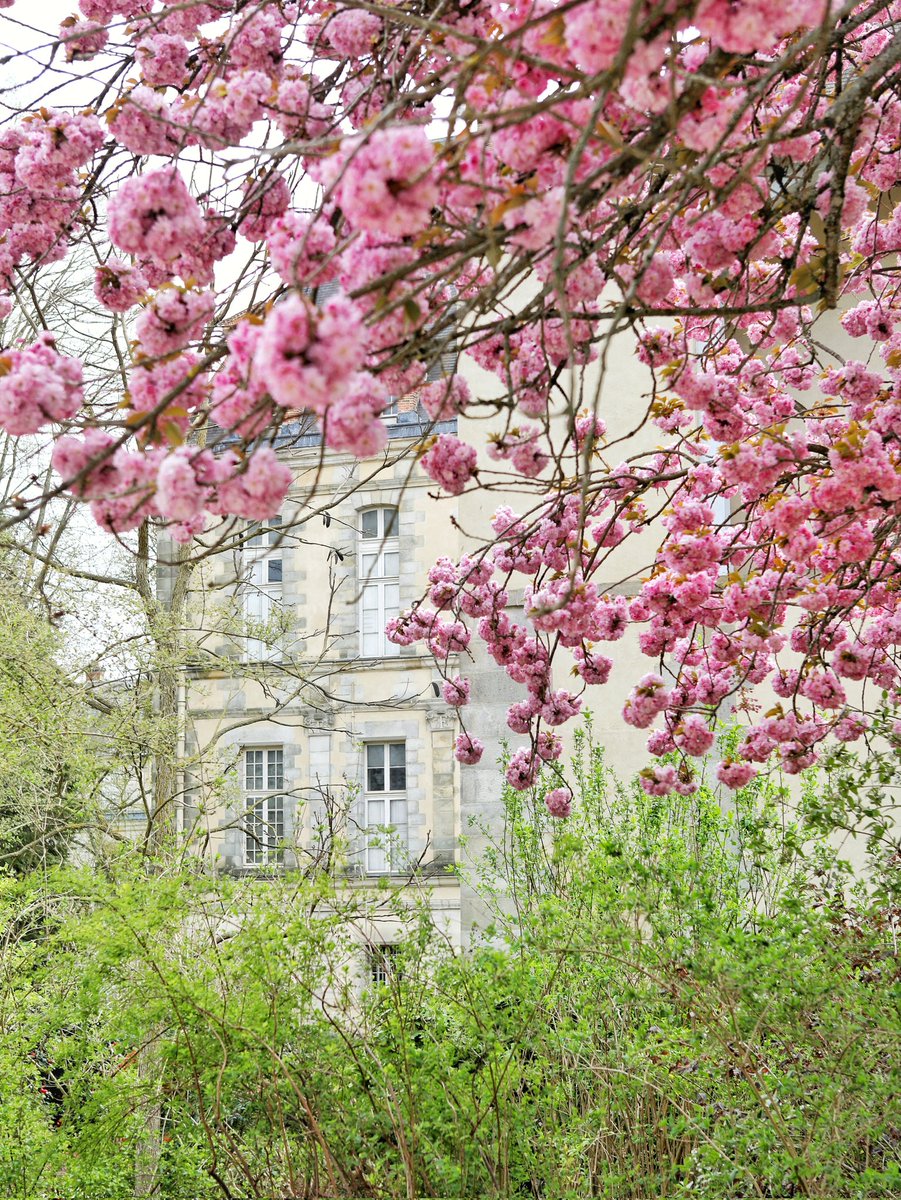 CFontainebleau's tweet image. 🔴 𝗟𝗲 𝗽𝗿𝗶𝗻𝘁𝗲𝗺𝗽𝘀 𝗮𝗽𝗽𝗿𝗼𝗰𝗵𝗲... 🌼
Le Château de #Fontainebleau vous souhaite une très belle semaine : du soleil, des fleurs et de jolies promenades dans les jardins ! 🌸 #MondayMotivation