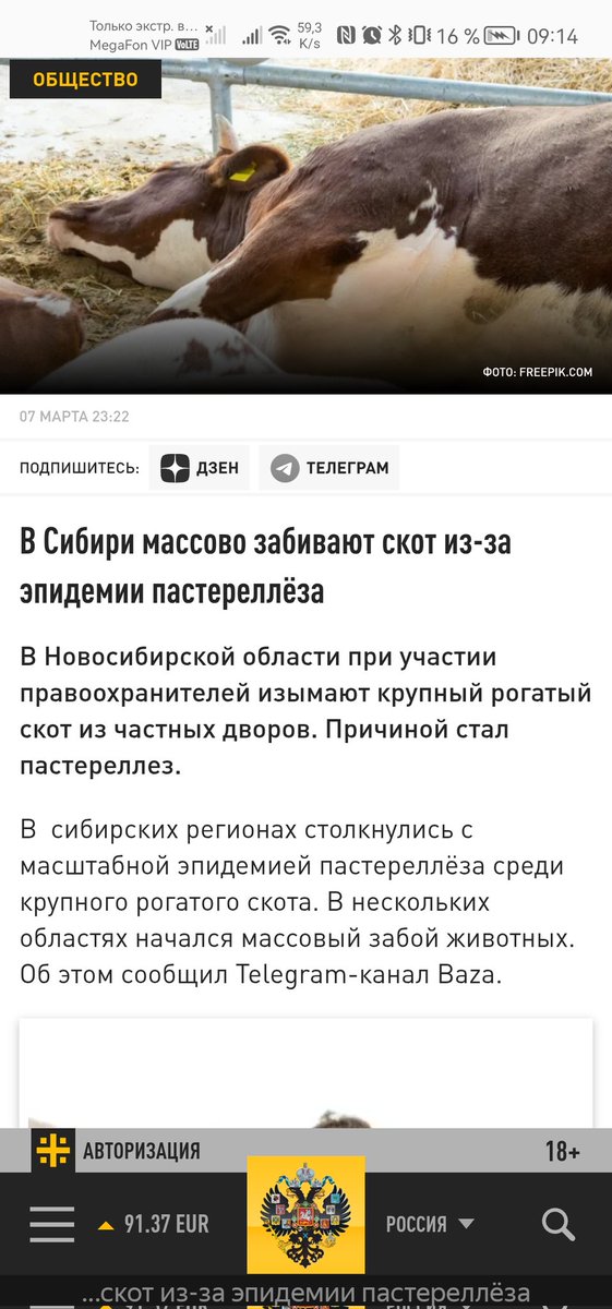 Yury Pulvas tweet media