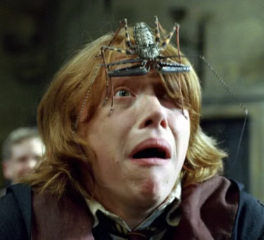 Wretch Divine Ascent tweet media