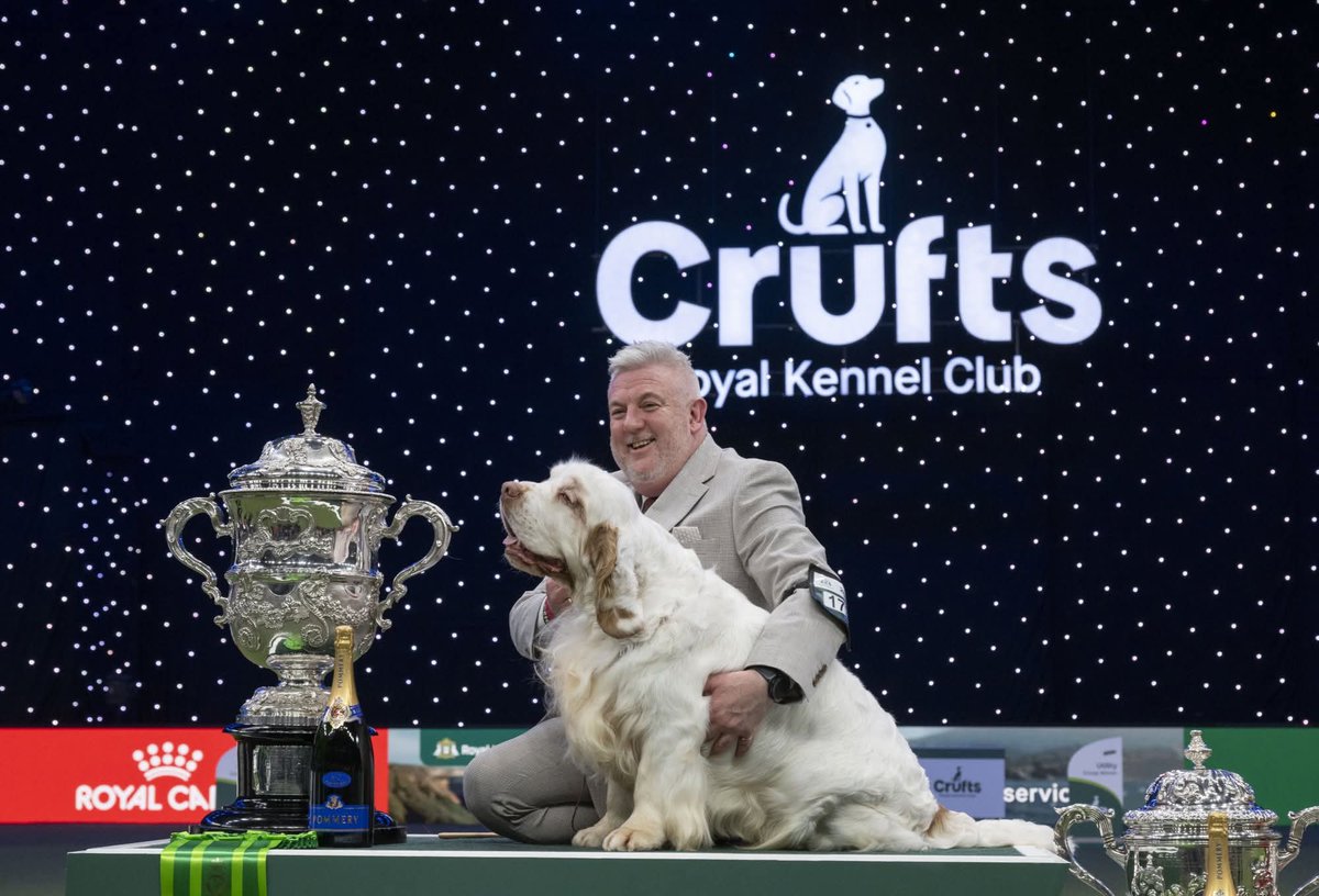 simon2726's tweet photo. Fantastic to see a #clumberspaniel win #cruffs ❤️❤️. 
Mine went over the rainbow 🌈  in september, I think it was written in the stars 🌟 🤩 https://t.co/pU3ggDiZHR