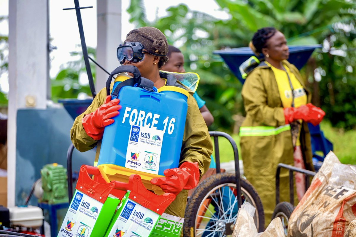 PNUD Cameroun tweet media