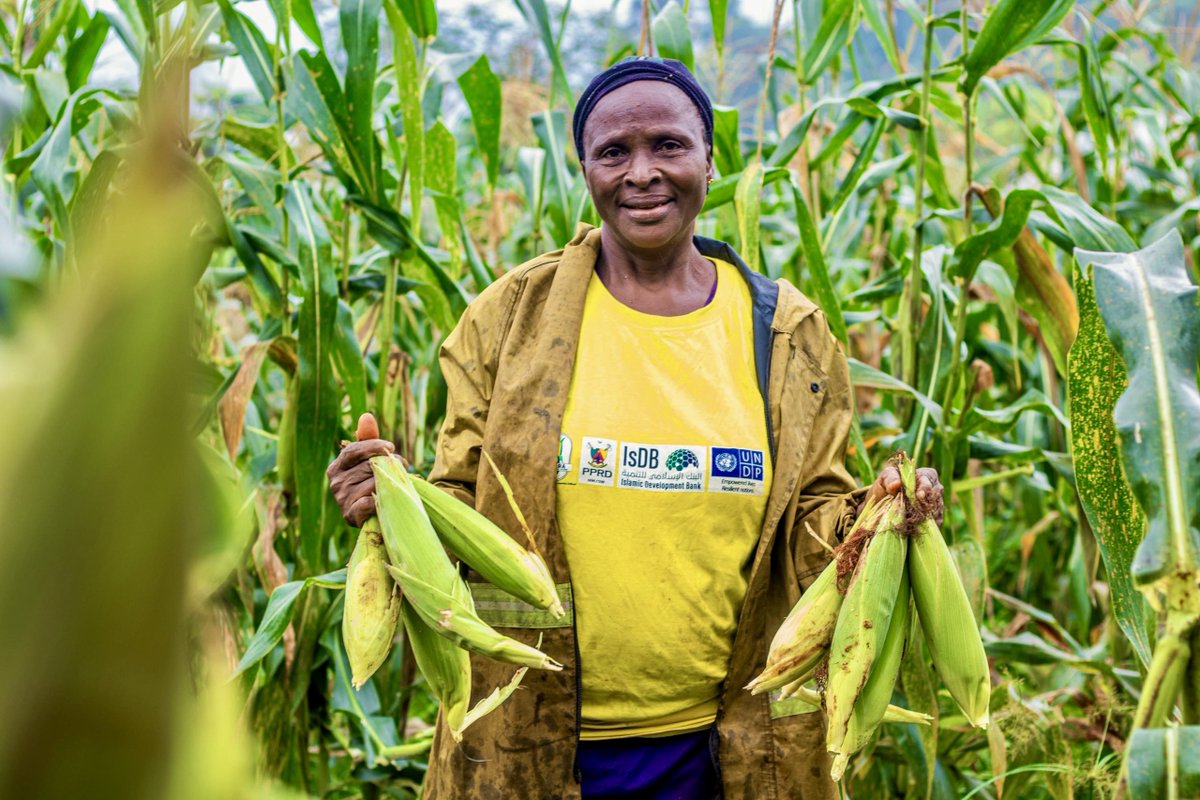 PNUD Cameroun tweet media