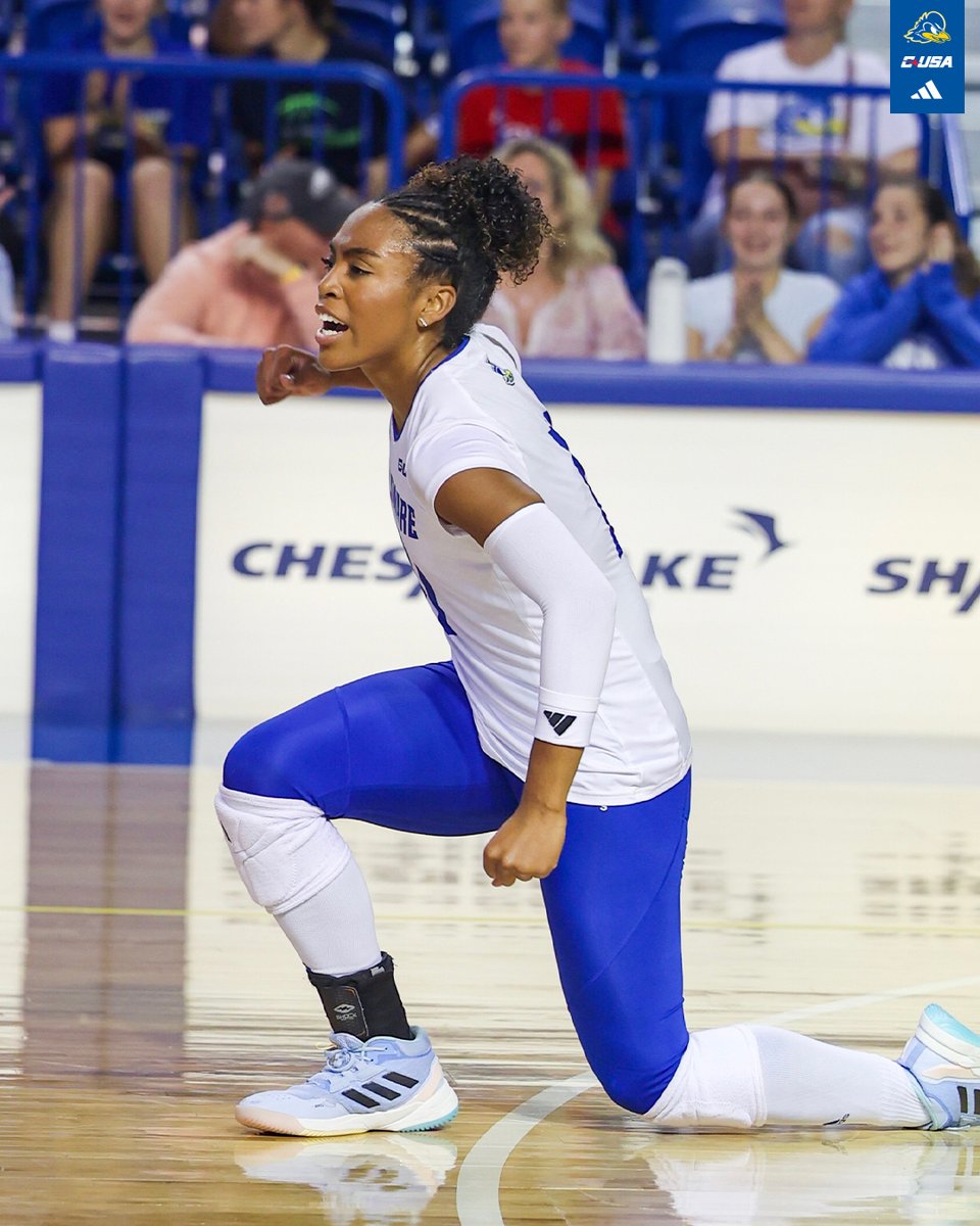 Delaware Volleyball tweet media