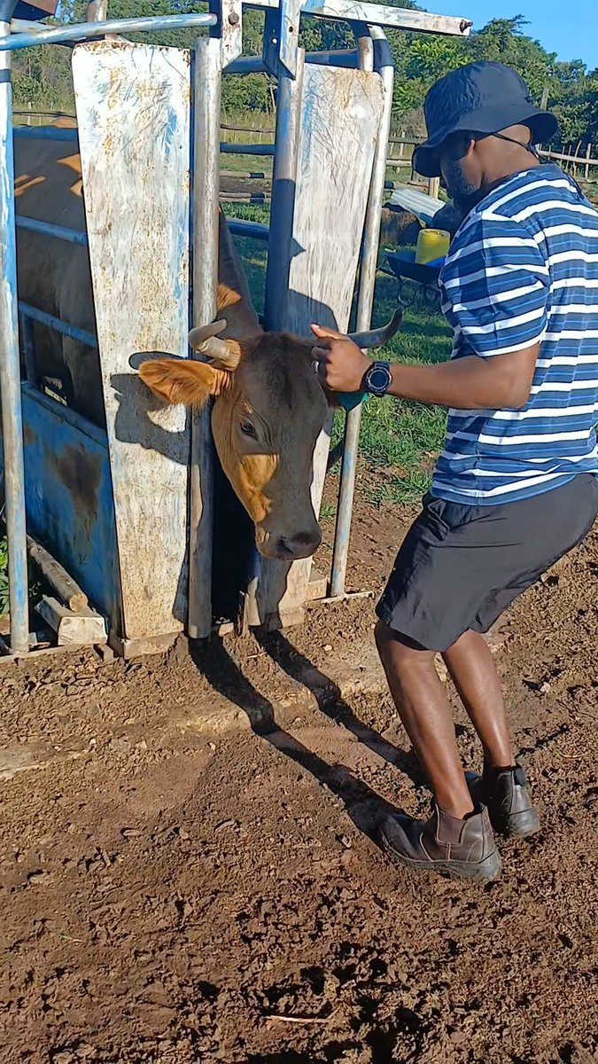 Gery Usuwaba tweet media