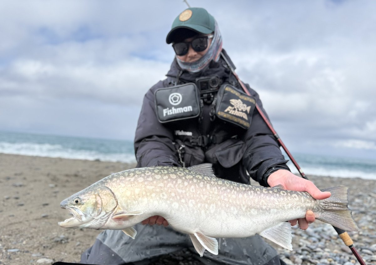 oga_0624_'s tweet image. こないだの昼の部。
奥田さんから連絡もらってポイントへ入ってシンペンを数投…
ドーナツ模様まみれ🍩
海アメマス68cm 4.46kg

ありがとうございました！！

#fishman
#ベンダバール101m
#IMZリミットブレイカー
#アトミックスライダー
#ナイロンショックリーダー28lb
#海アメマス