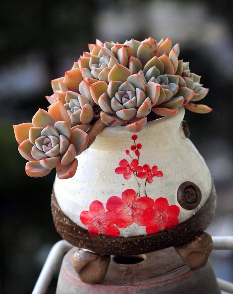 面包.🍞. tweet media