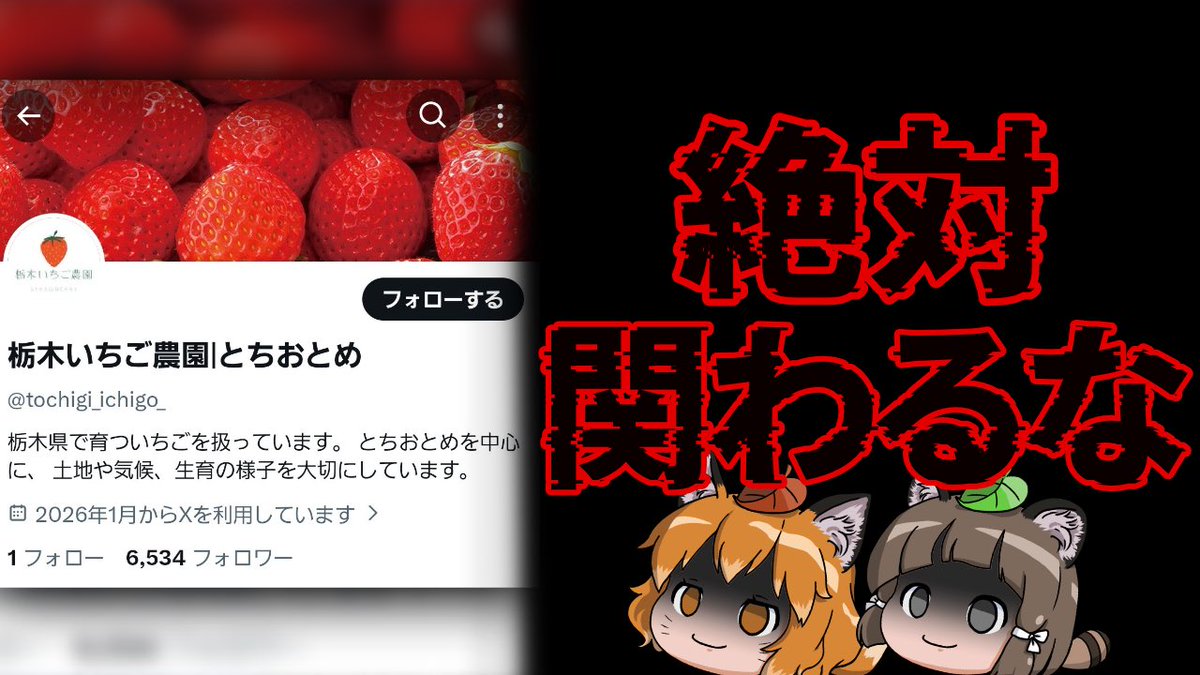本日21時からプレミア公開❗️

最近急増している
農家など「生産者」を名乗るアカウントの
果物プレゼントキャンペーンに参加したした人いませんか？？

実はそれ、危険かもしれせん…

【緊急】このSNSアカウントには絶対近づかないでください…