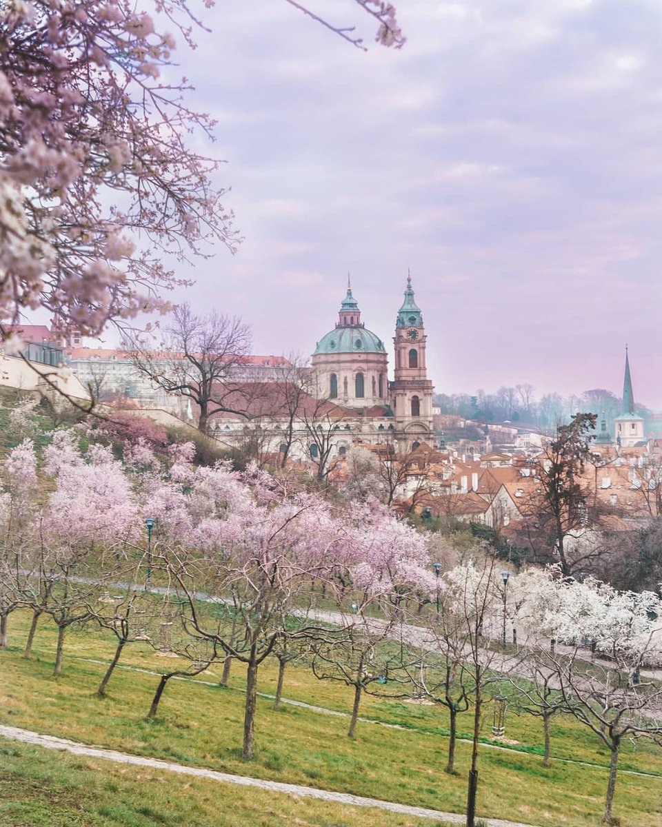 Visit Czechia tweet media