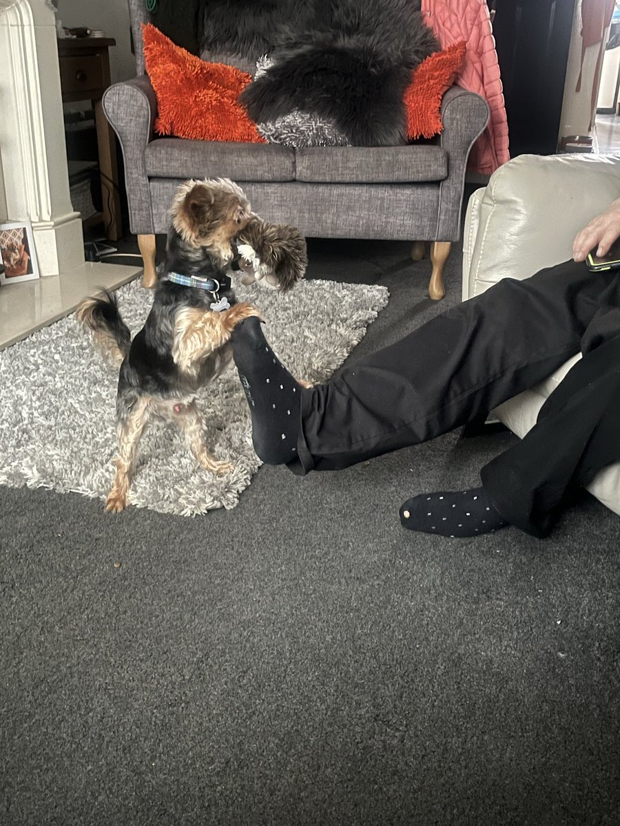 sim2310's tweet photo. @bbcbreakfast   Charlie playing with his dads foot https://t.co/Ltz3aSoc6p