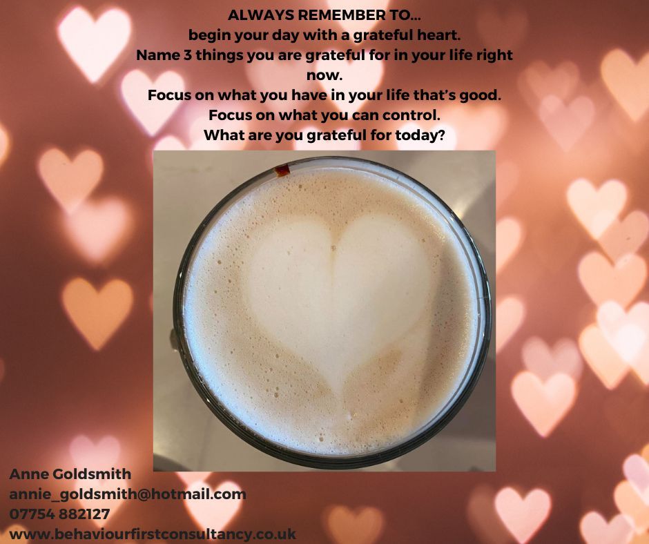 AnneMGoldsmith's tweet photo. And everything that is good, working &amp; going well will make a difference to how you feel &amp; how you overcome your challenges. Starting your day today &amp; every day from a place of gratitude changes your perspective on your day, on your life &amp; impacts how you think, what you do. https://t.co/impUanQqxd
