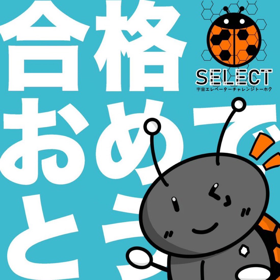 ECTo -SELECT広報班- tweet media
