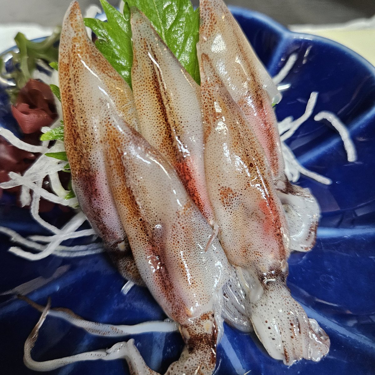 wassyoibaba's tweet photo. 生ホタルイカ、旨いです　個人的にもホント旨いと思います　食べたことなかったらぜひ

今シーズンの通風鍋、もつ鍋が終了となります　ご愛顧いただき今冬もありがとうございました🙇‍♂️ https://t.co/4zbbYXW5uI