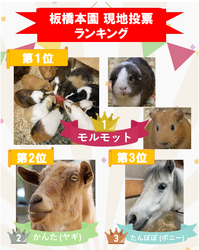 itabashizoopark's tweet photo. みなさんこんにちは！

2月から3月にかけて開催した推し動物総選挙の結果を発表します✨
たくさんの投票ありがとうございました！

３月１１日（水）からは、現地投票のトップ３に選ばれた動物たちの缶バッヂを販売する予定です☆
お楽しみに♪

#いいねいたばし #板橋こども動物園 #高島平分園 https://t.co/KseDiyvqhU