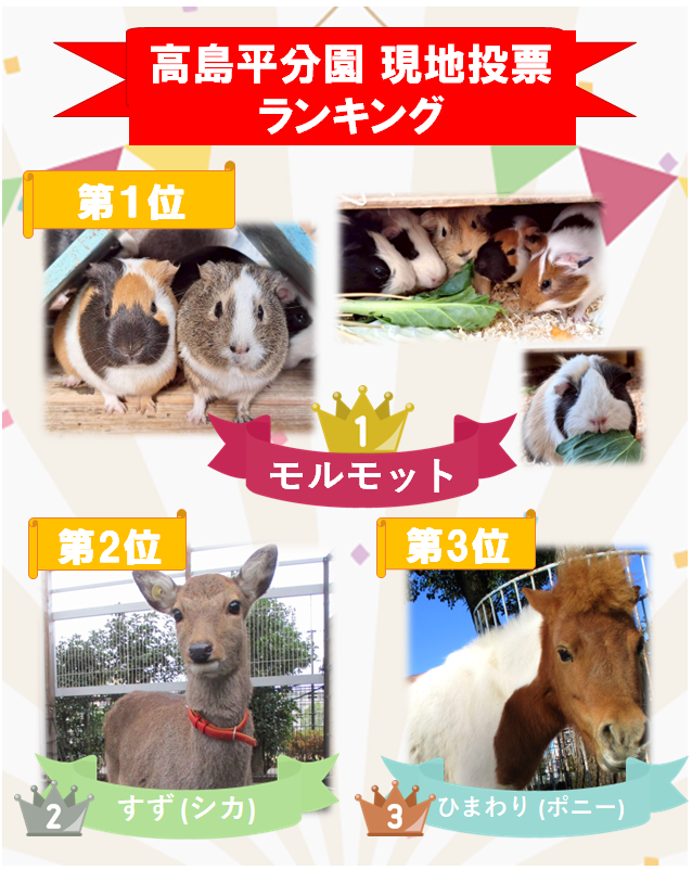 itabashizoopark's tweet photo. みなさんこんにちは！

2月から3月にかけて開催した推し動物総選挙の結果を発表します✨
たくさんの投票ありがとうございました！

３月１１日（水）からは、現地投票のトップ３に選ばれた動物たちの缶バッヂを販売する予定です☆
お楽しみに♪

#いいねいたばし #板橋こども動物園 #高島平分園 https://t.co/KseDiyvqhU