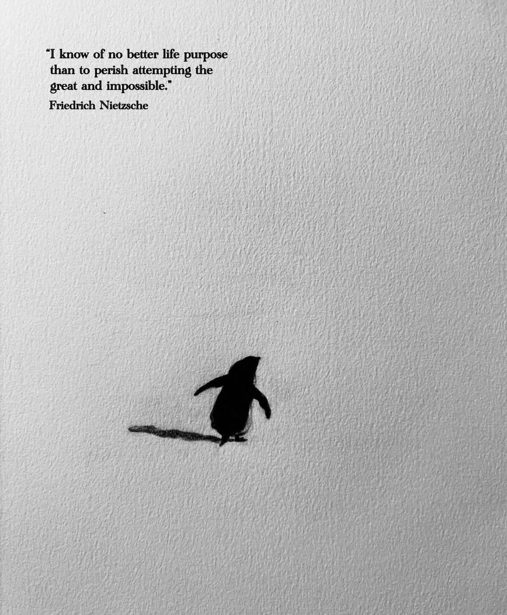 icantchillyet ♟️🐎 tweet media