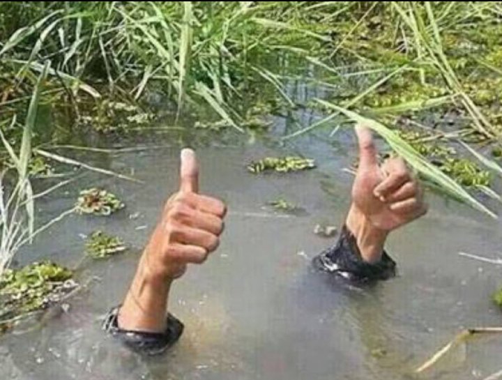 Friend : How is your Equity Portfolio ?

Me :

#StockMarketCrash #niftycrash