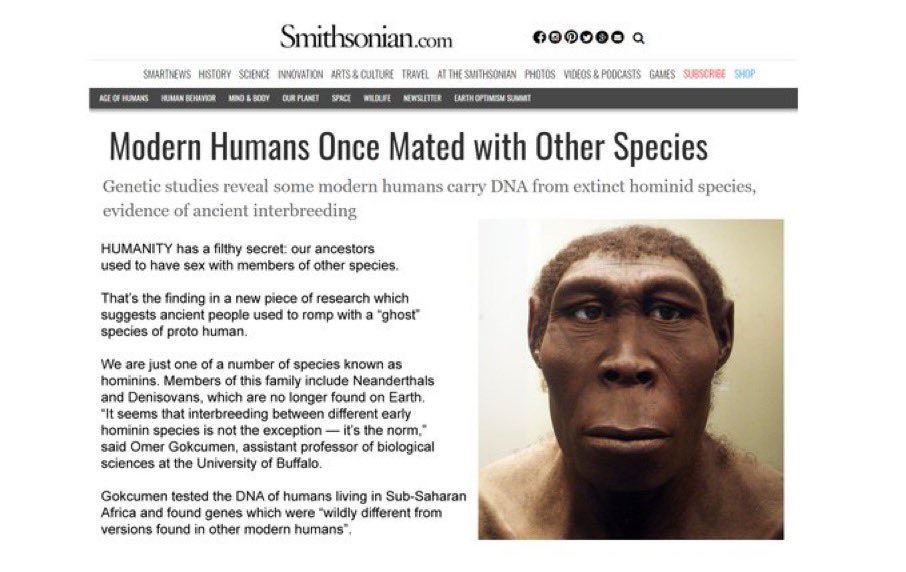 DEI 4 White Guys tweet media