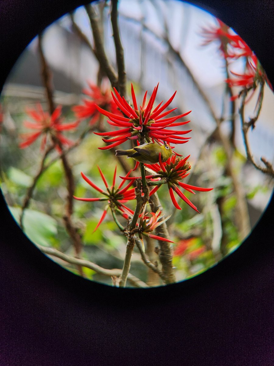 오리넉울 tweet media