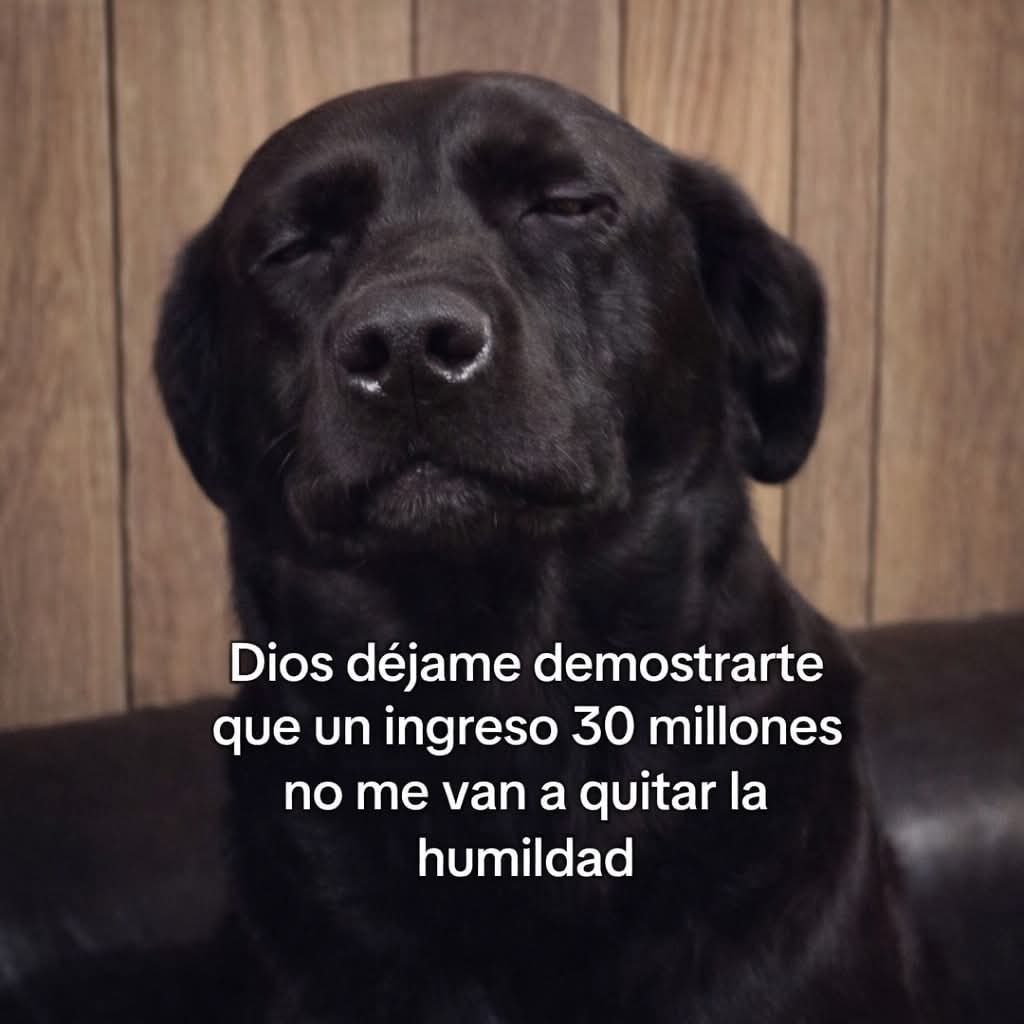 En Júpiter (@en_jupiter_) on Twitter photo 