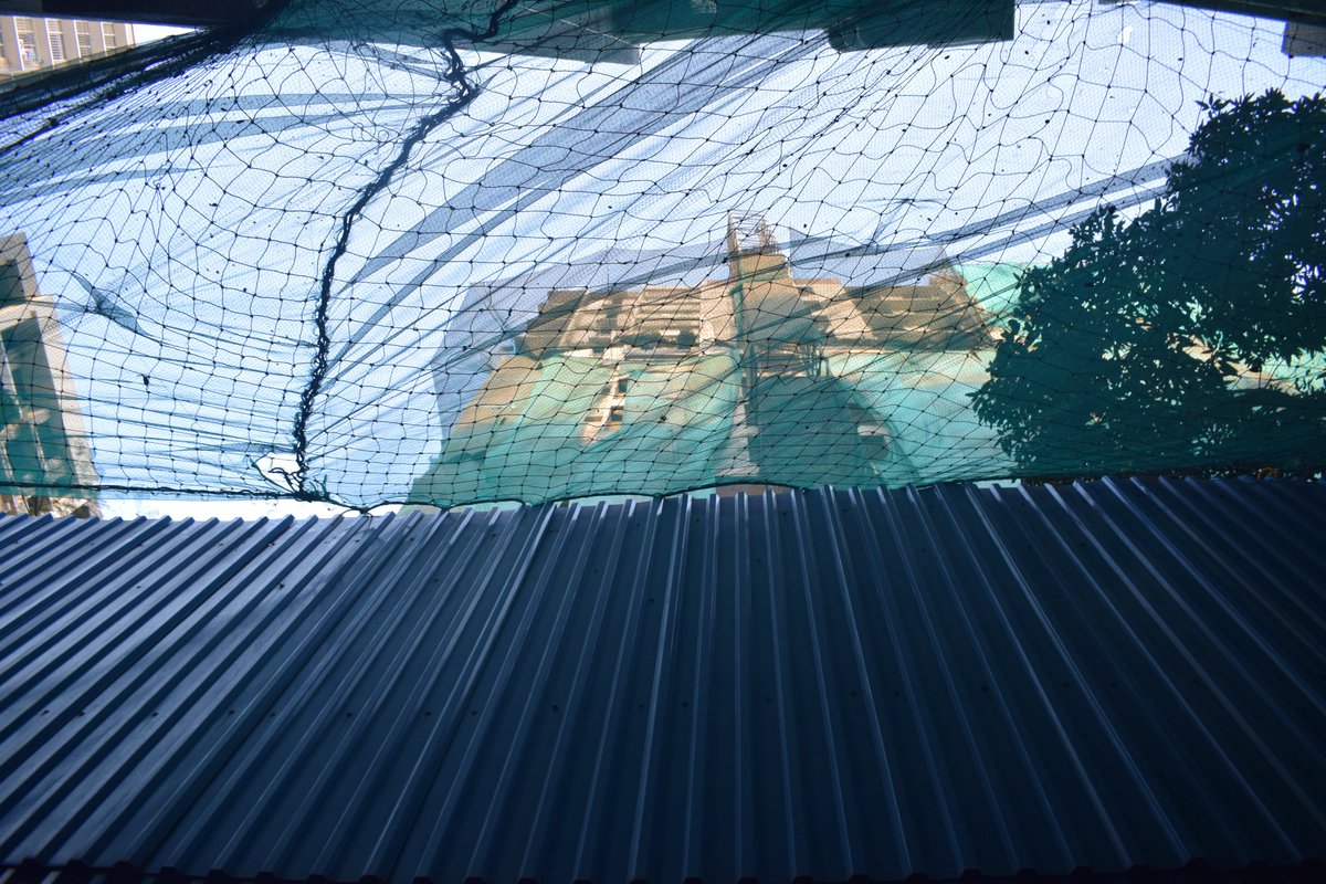 Jinit Parmar tweet media