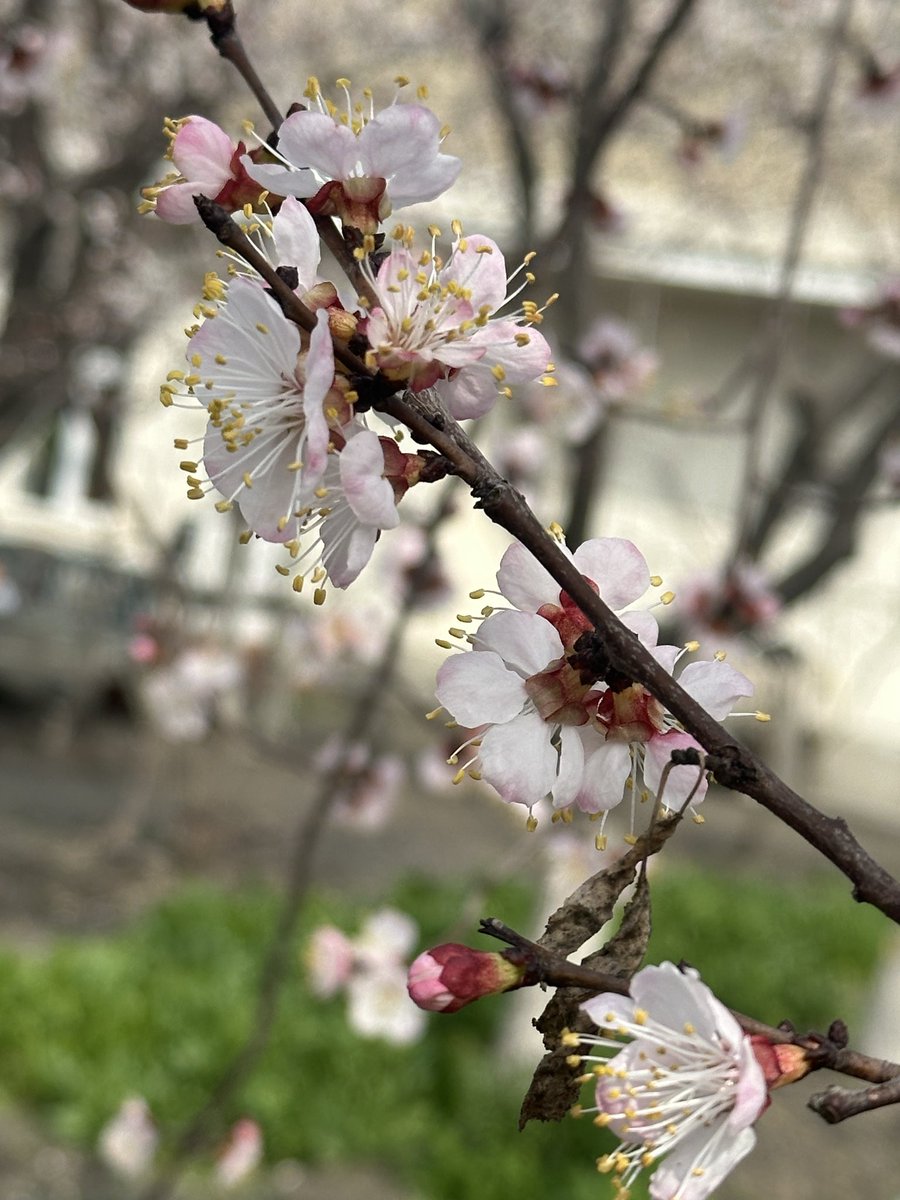 MАРУПОВНА (@speakermohi) on Twitter photo 