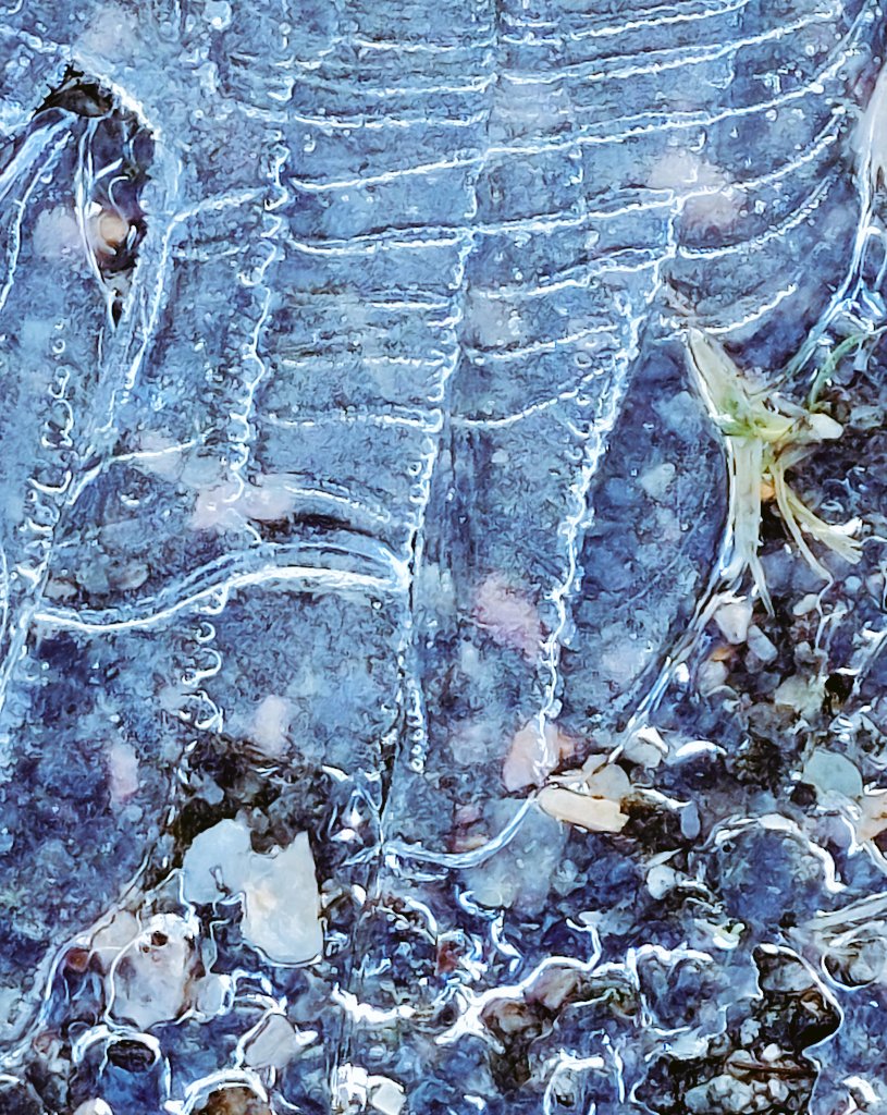 PikkasenTuhma's tweet photo. Huomenta 🩵! Lätäkkötaidetta maanantaille 💪❄️💪. #PuddleArt https://t.co/5HkHxwxCvN