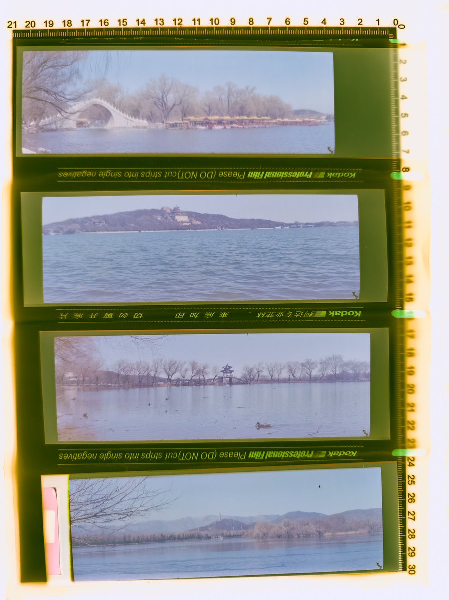 Anataha_Sakana tweet media