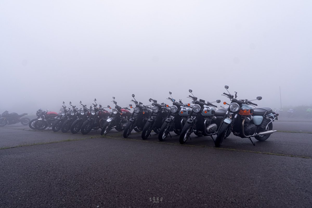 【非公式】プチ虎MTG tweet media