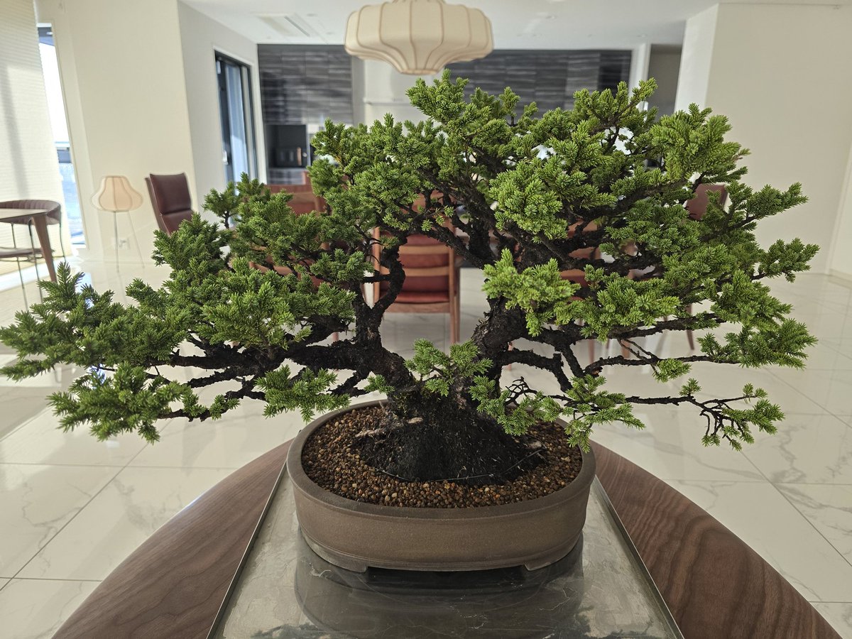 David Orr tweet media