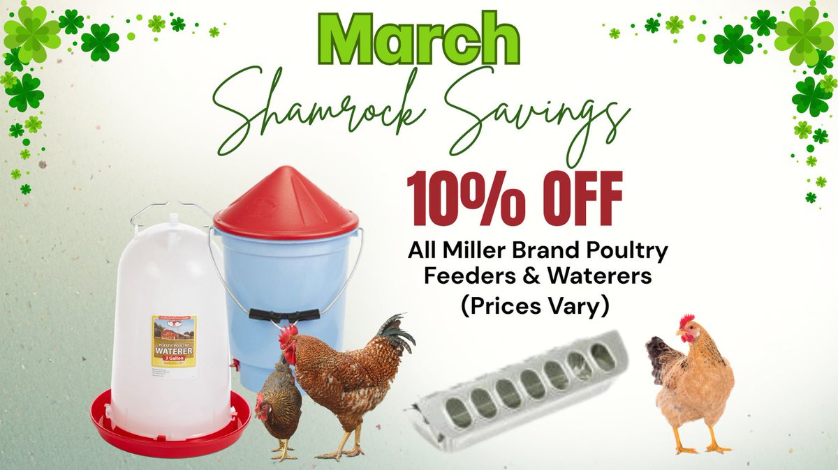 ocalafeed's tweet photo. 🍀 March Shamrock Savings at OBFS! 🍀

Take 10% OFF all Miller Brand Poultry Feeders &amp; Waterers this month! Perfect time to upgrade your coop and keep your flock happy and healthy. 🐓

Stop by OBFS to grab the deal before it’s gone!

#OcalaBreedersFeed #FarmLife #ShamrockSavings https://t.co/jOB2wyCfew