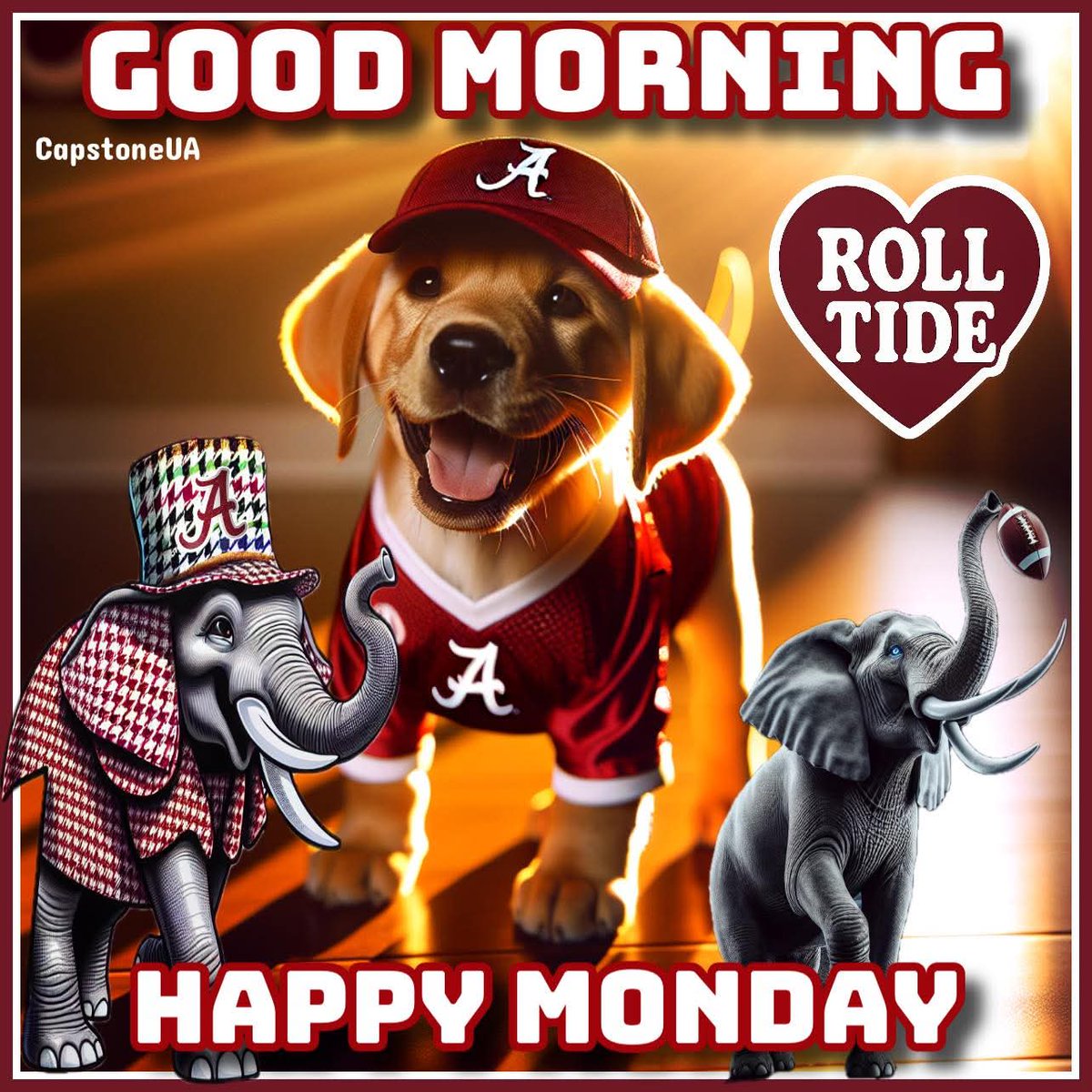 William28796229's tweet photo. GOOD MORNING BAMA NATION AND ROLL TIDE https://t.co/MuudOjMg6w
