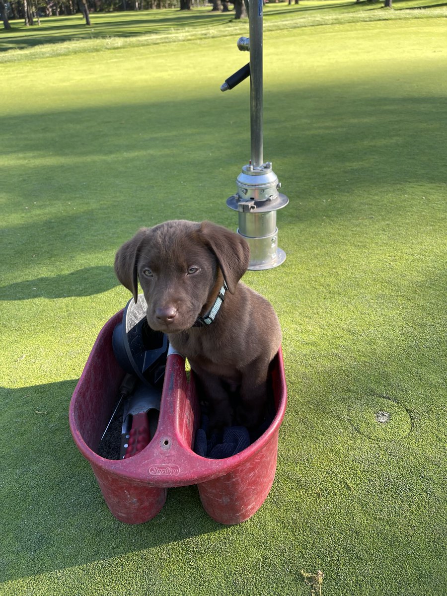 Richard Young tweet media